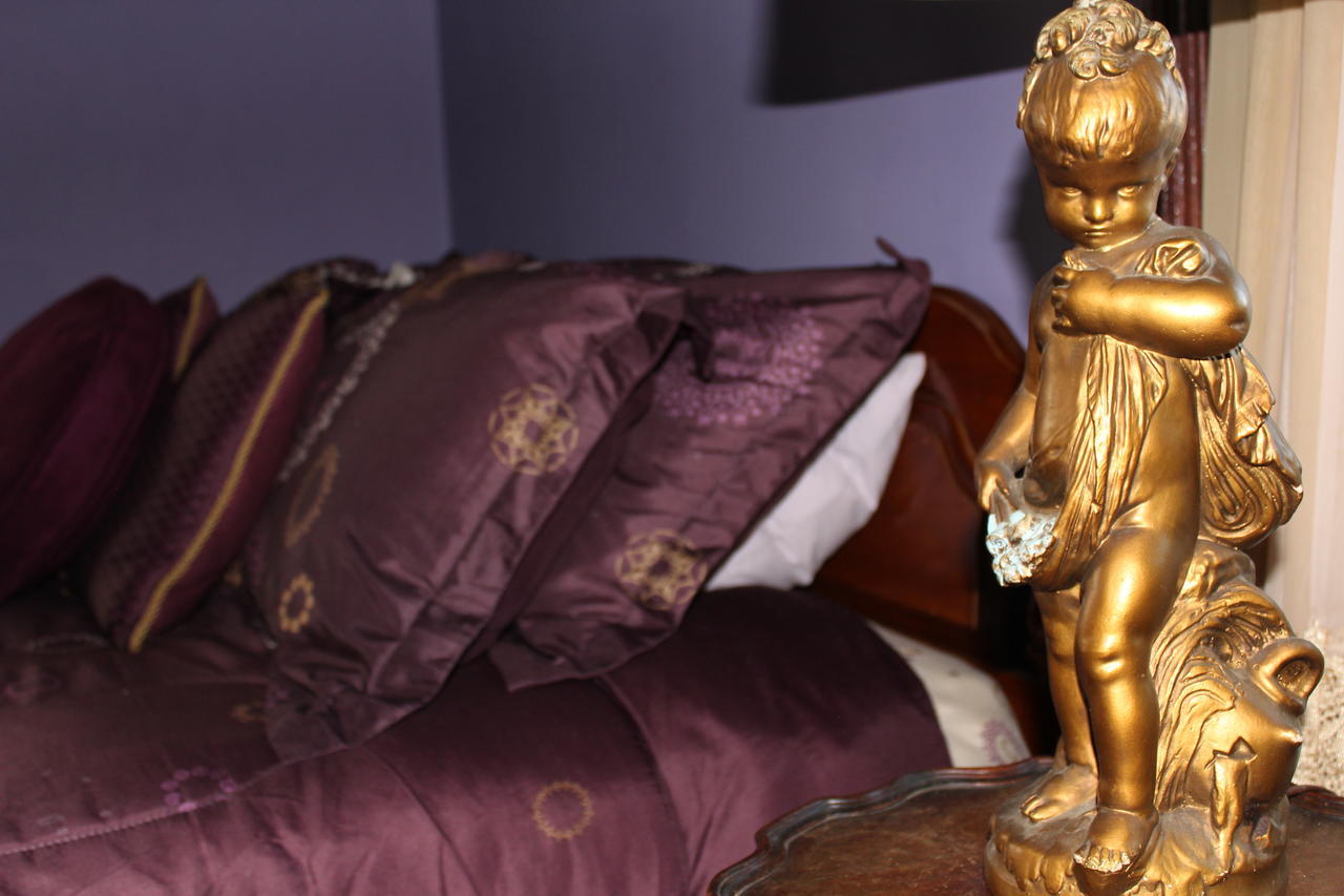 Riverview Mansion Hotel Golconda Стая снимка